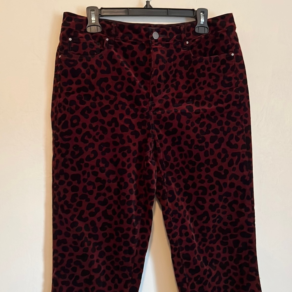 Ann Taylor high rise straight velour pant